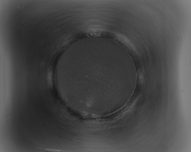 X0000101671060200807101355