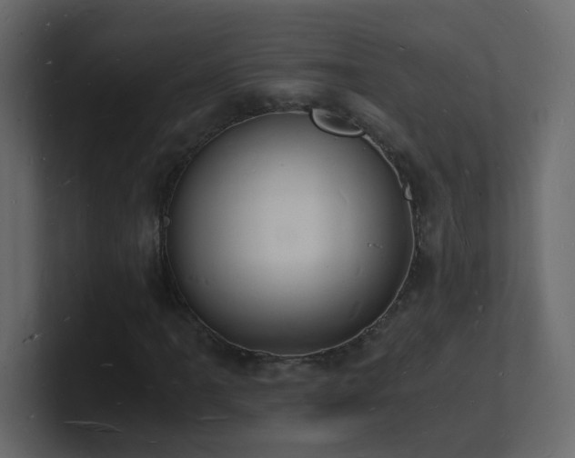 X0000101671061200807101355