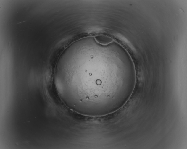 X0000101671063200807101355