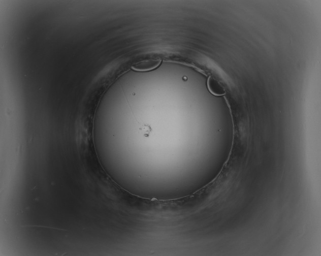 X0000101671064200807101355