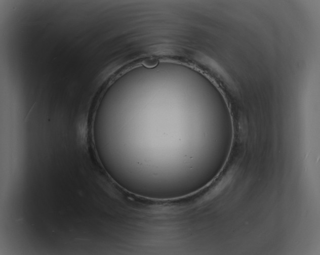X0000101671065200807101355