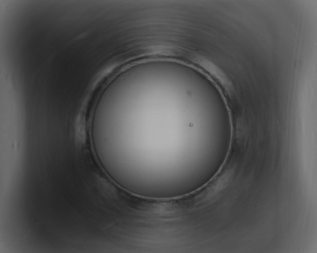X0000101671067200807101355