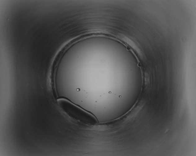 X0000101671068200807101355