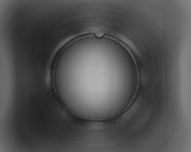 X0000101671070200807101355