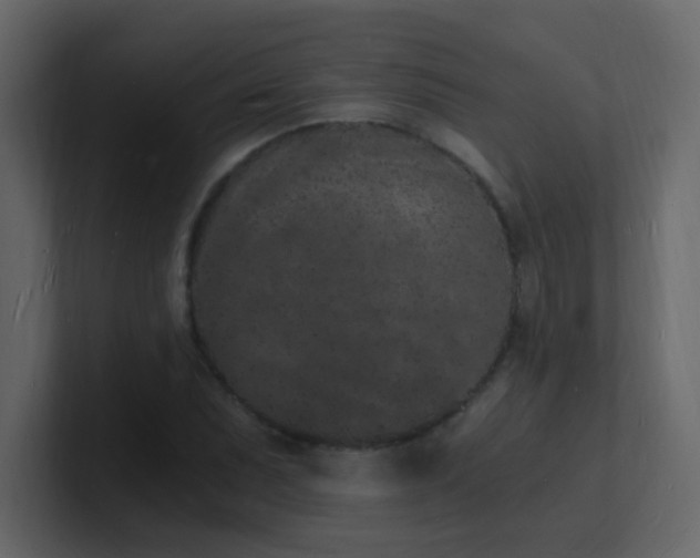 X0000101671071200807101355
