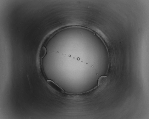 X0000101671072200807101355