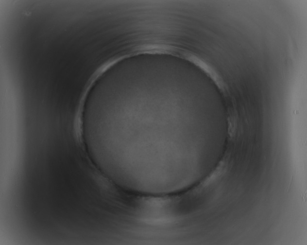 X0000101671074200807101355