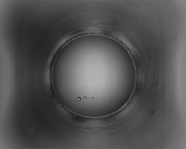 X0000101671075200807101355