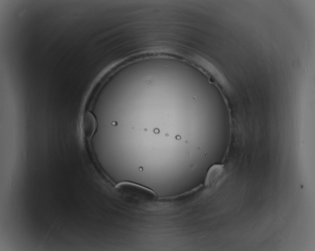 X0000101671076200807101355