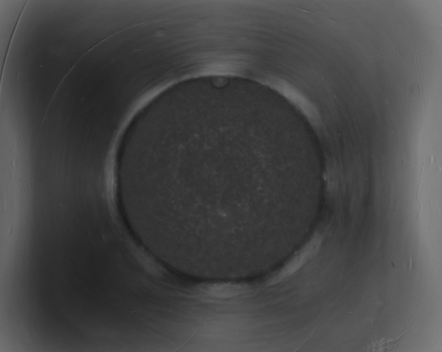 X0000101671077200807101355
