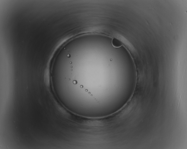 X0000101671079200807101355