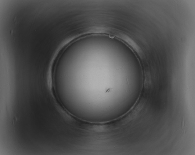 X0000101671080200807101355
