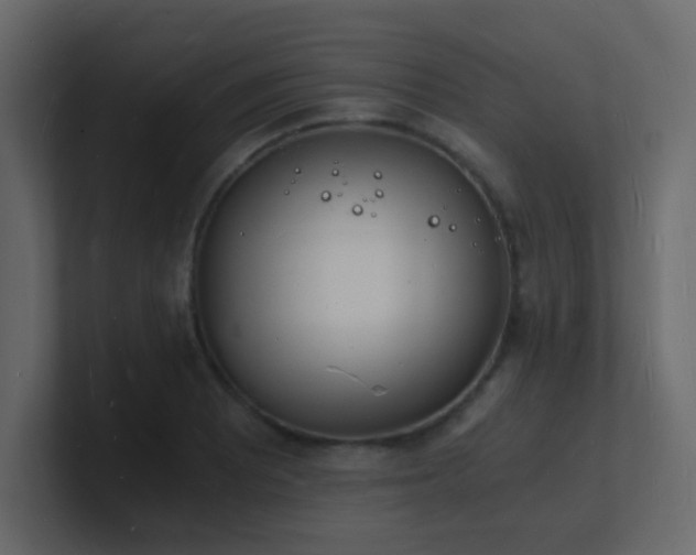 X0000101671081200807101355