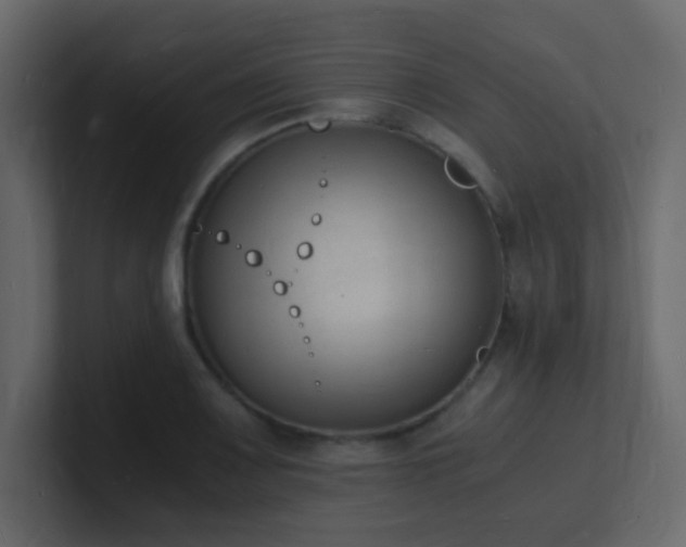 X0000101671083200807101355