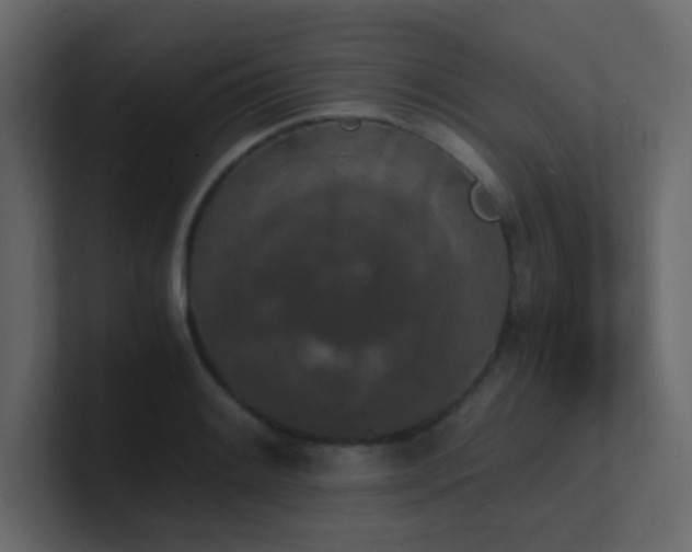 X0000101671084200807101355