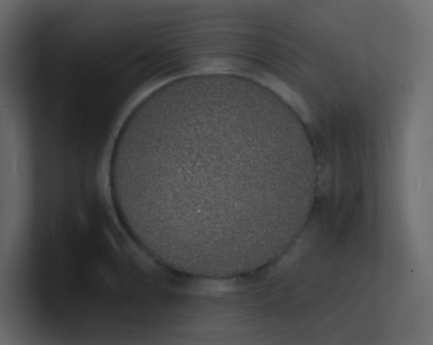 X0000101671086200807101355