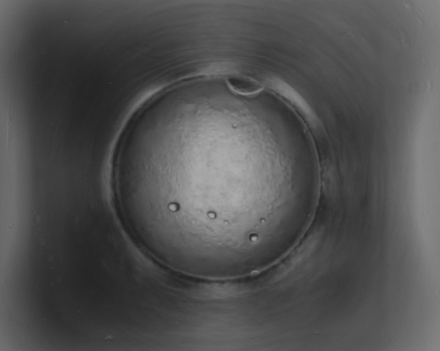 X0000101671087200807101355