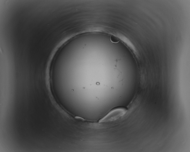 X0000101671088200807101355