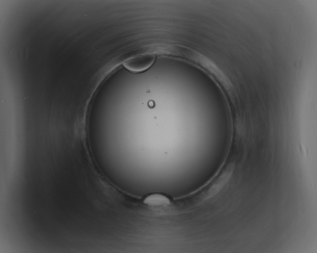 X0000101671089200807101355