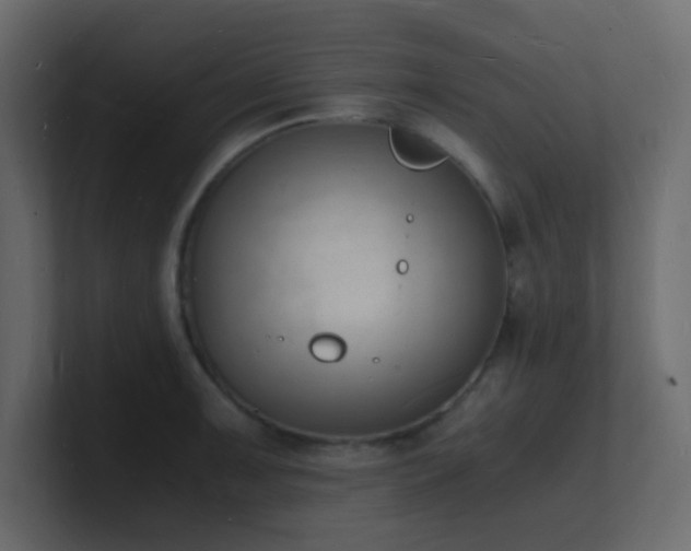 X0000101671091200807101355
