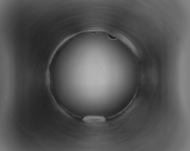 X0000101671092200807101355