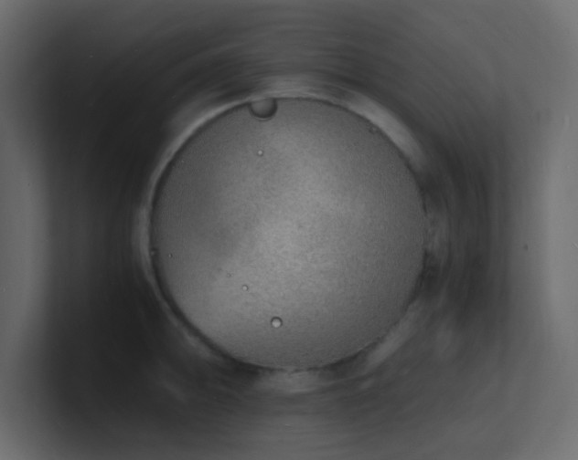 X0000101671094200807101355