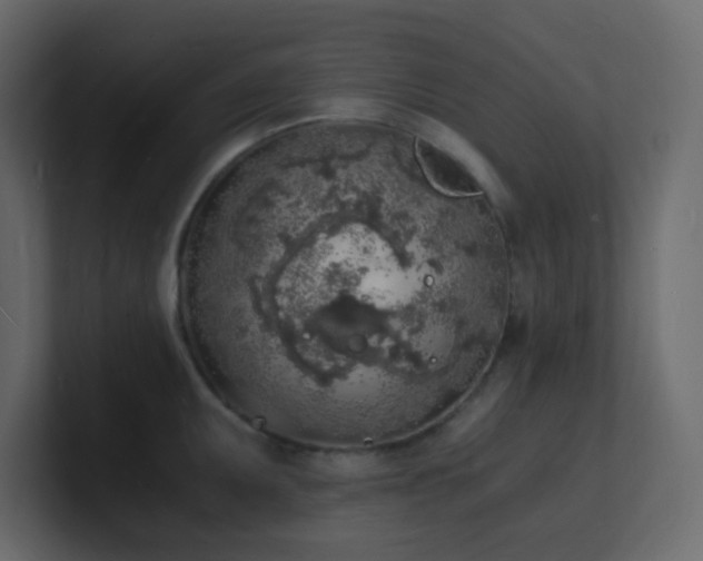 X0000101671095200807101355