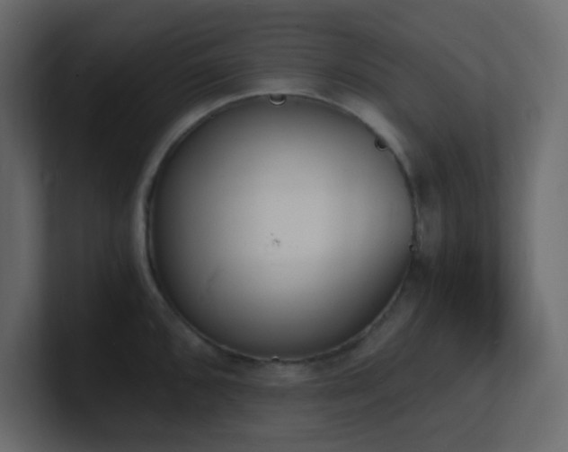 X0000101671096200807101355