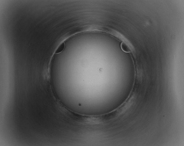 X0000101671097200807101355
