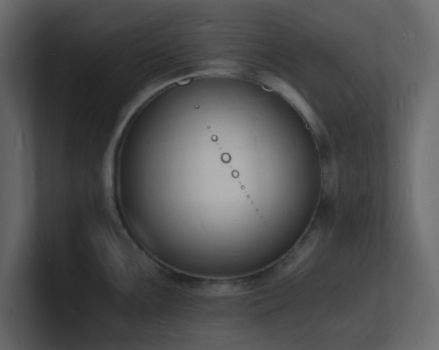 X0000101671099200807101355