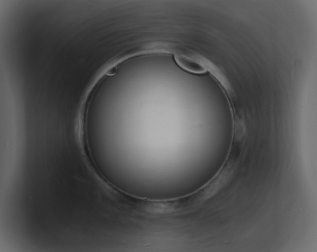 X0000101671101200807101354