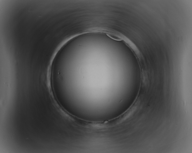 X0000101671102200807101354