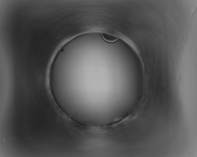 X0000101671104200807101354