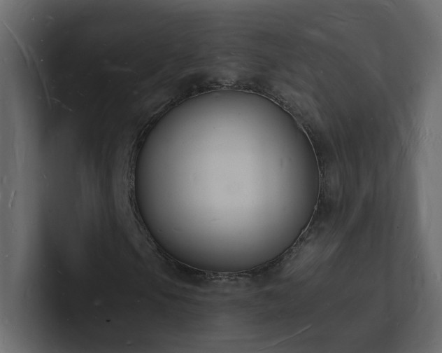 X0000101671105200807101354