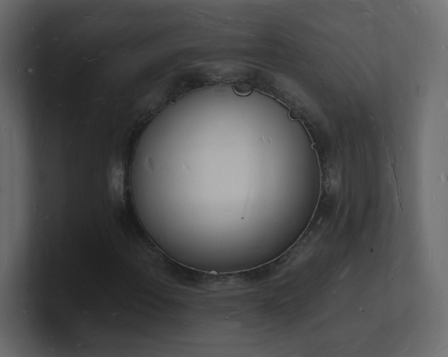 X0000101671108200807101354