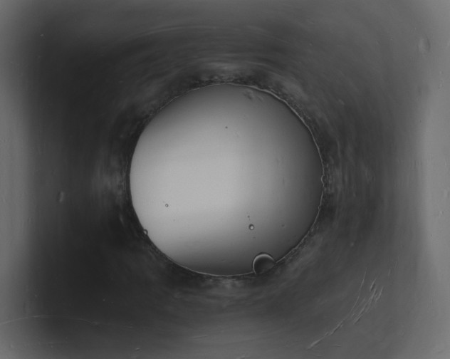 X0000101671109200807101354