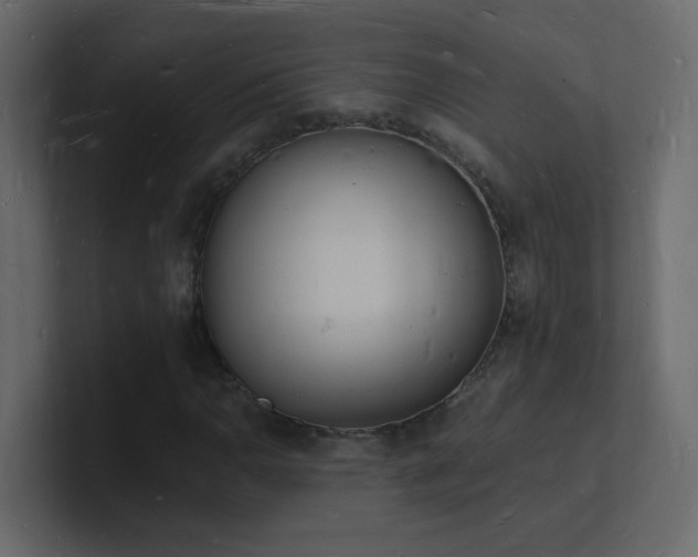 X0000101671110200807101354