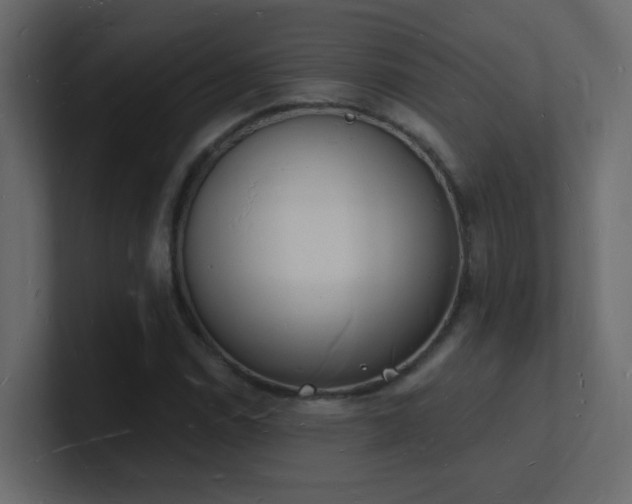 X0000101671114200807101354
