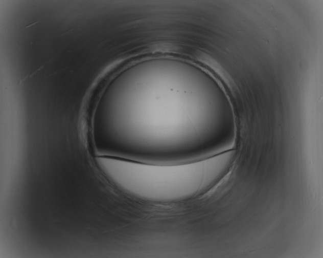X0000101671115200807101354