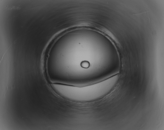 X0000101671116200807101354
