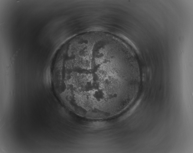 X0000101671117200807101354
