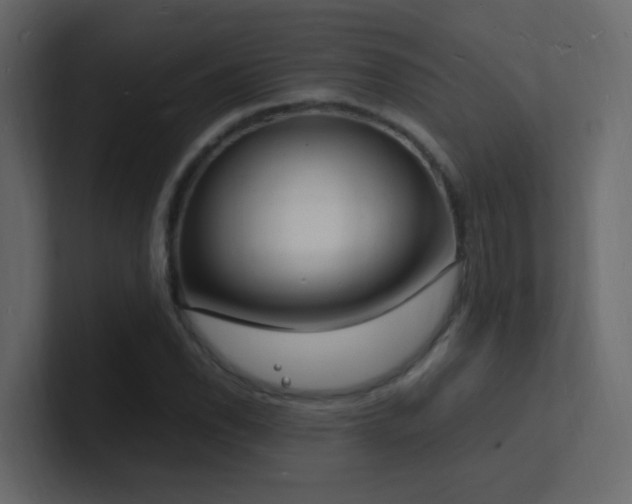 X0000101671118200807101354