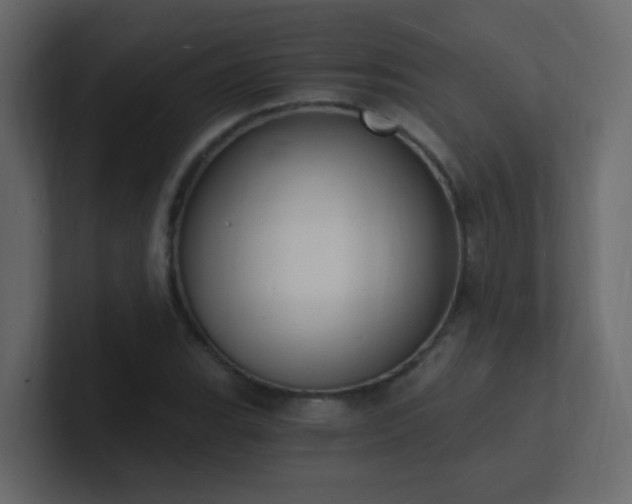 X0000101671119200807101354