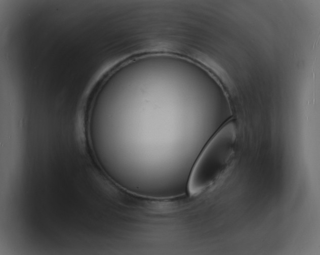X0000101671120200807101354