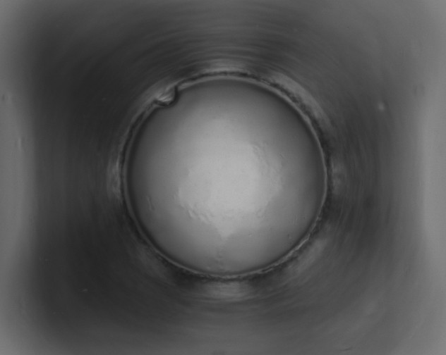 X0000101671121200807101354