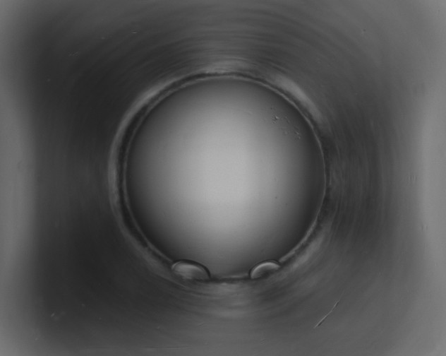 X0000101671122200807101354