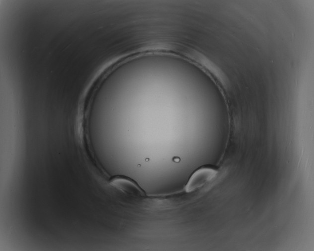 X0000101671124200807101354