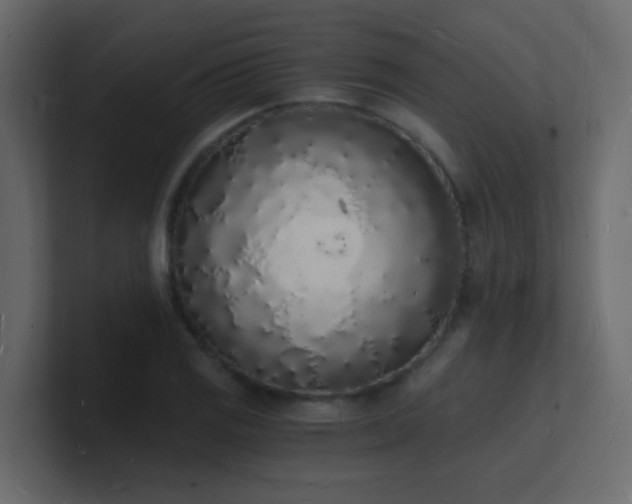 X0000101671125200807101354