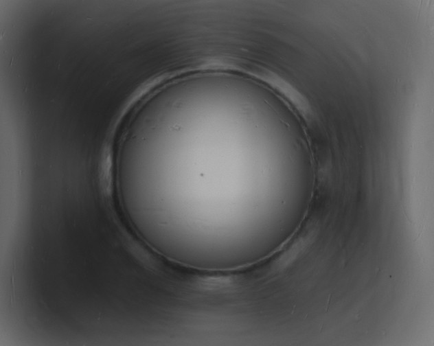 X0000101671126200807101354