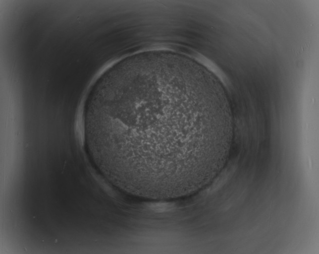 X0000101671127200807101354
